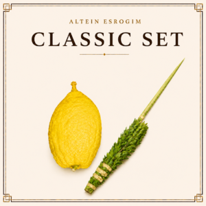 Chabad House Yanover Arba Minim Set