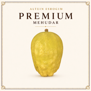 Premium Mehudar Yanover Esrog