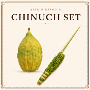 Chinuch Arba Minim Set