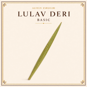 Lulav (Deri Kosher L'Bracha)