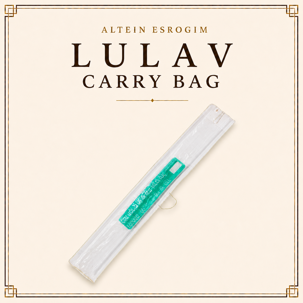 Lulav Carry Bag